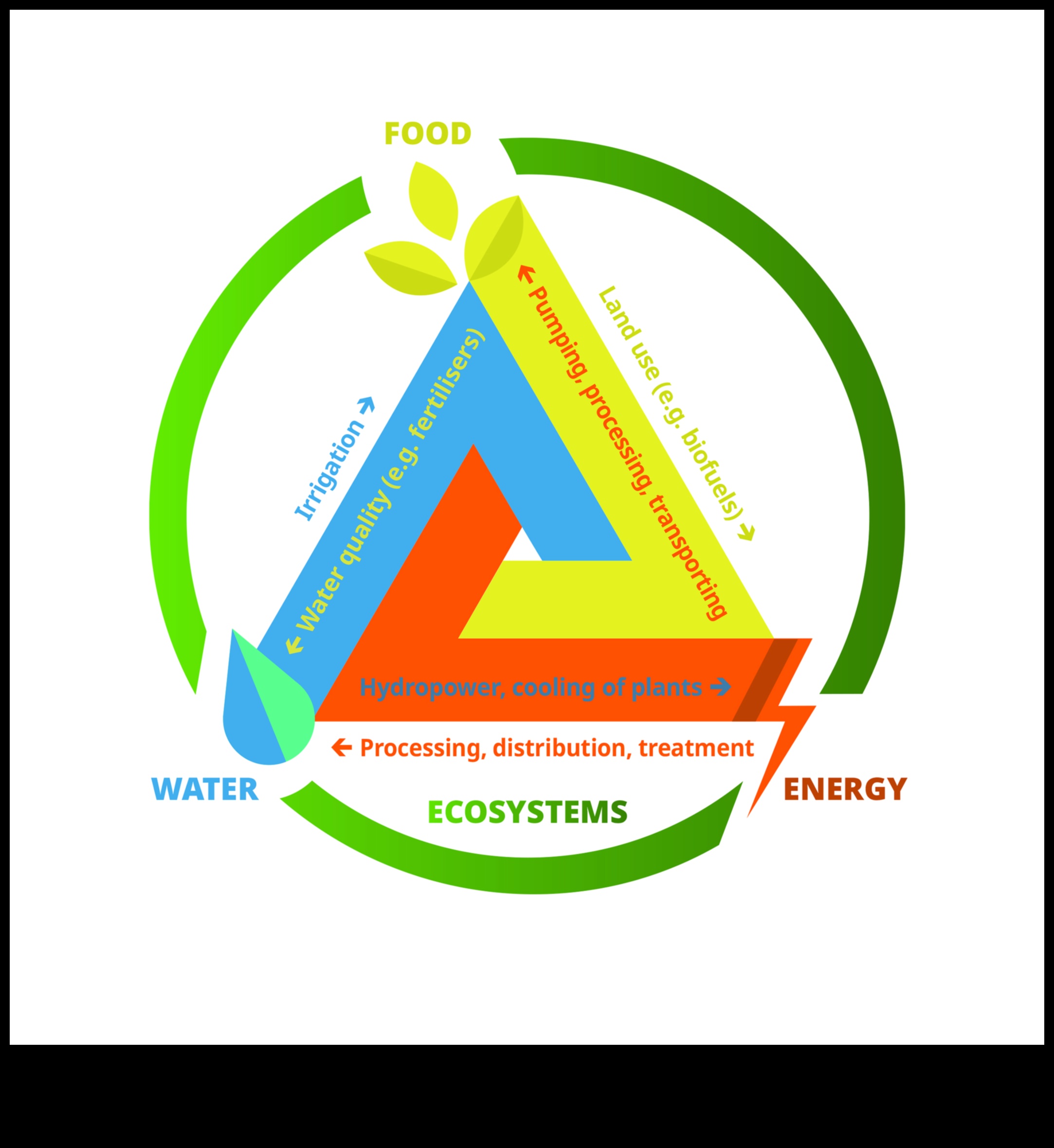 The Nutrient Nexus: Connecting Food and Wellbeing