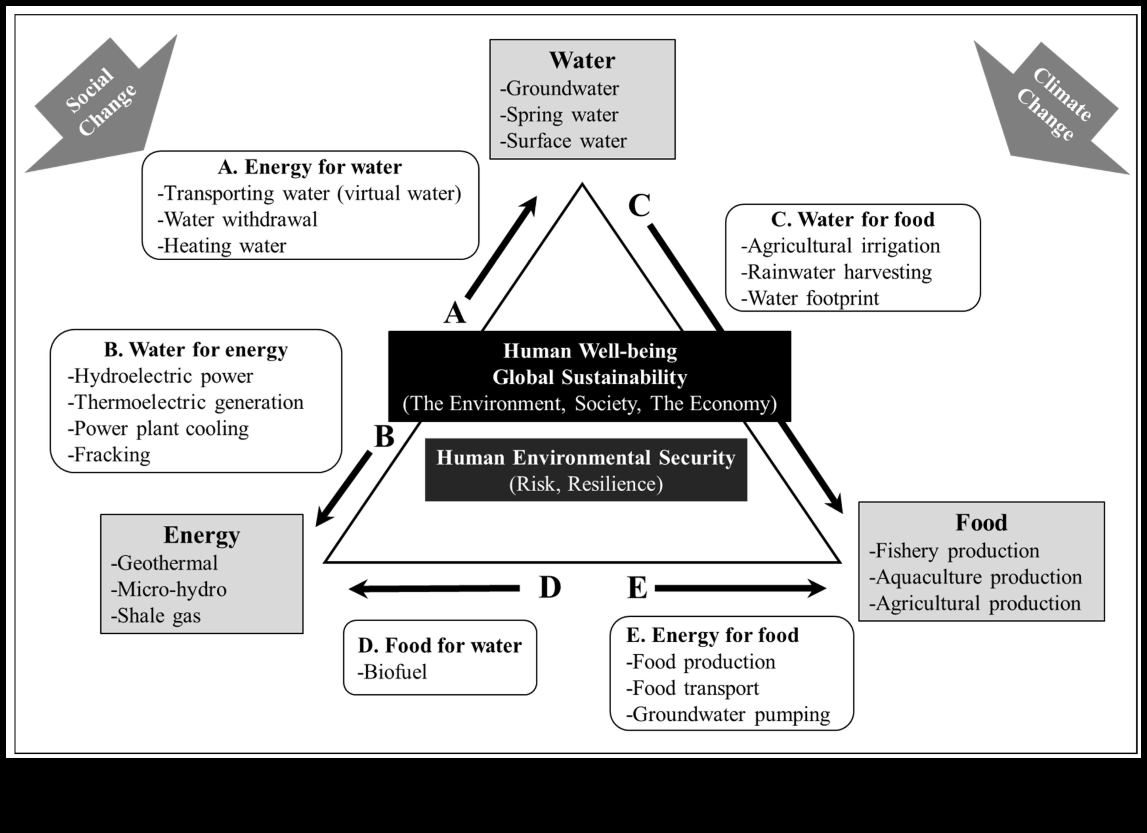The Nutrient Nexus: Connecting Food and Wellbeing