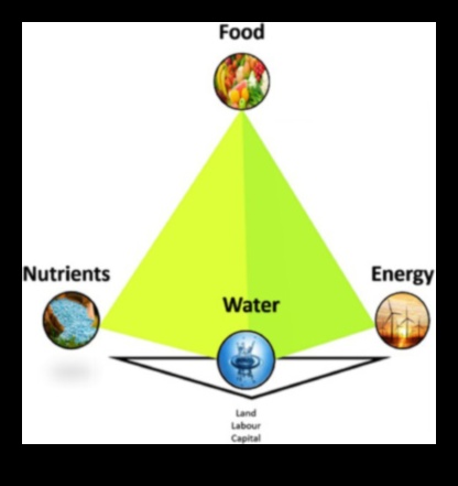 The Nutrient Nexus Πώς το φαγητό μπορεί να σας βοηθήσει να ευδοκιμήσετε