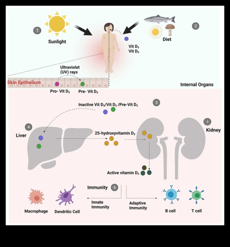 The Sunshine Vitamin: Εξερευνώντας τη δύναμη της βιταμίνης D