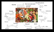 Molecular Menu Planning A Culinary Approach to Nutrition Biochemistry