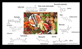 Molecular Menu Planning A Culinary Approach to Nutrition Biochemistry