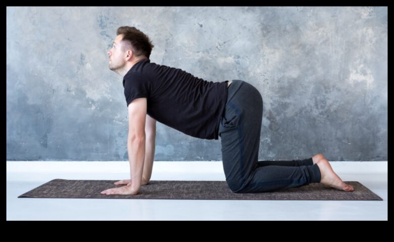 Yoga Symphony A Harmonious Approach to Fitness